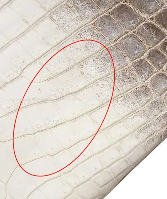 Hermes 2015 Birkin 25 Himalaya Handbag in Niloticus Crocodile Leather with Palladium Hardware