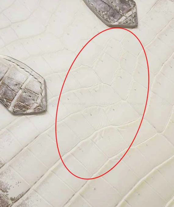 Hermes 2015 Birkin 25 Himalaya Handbag in Niloticus Crocodile Leather with Palladium Hardware