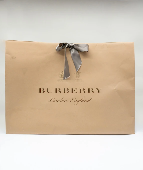 Burberry Brown/White TB Monogram Stripe Coated Canvas Extra Large Belt Bag