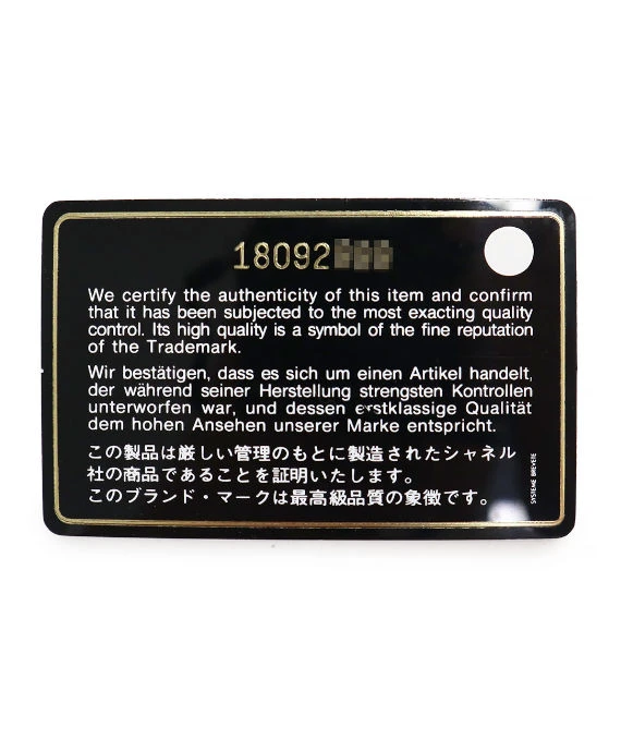 Chanel Matlasse Chain Shoulder Bag Python Exotic Blue Leather with Silver Hardware