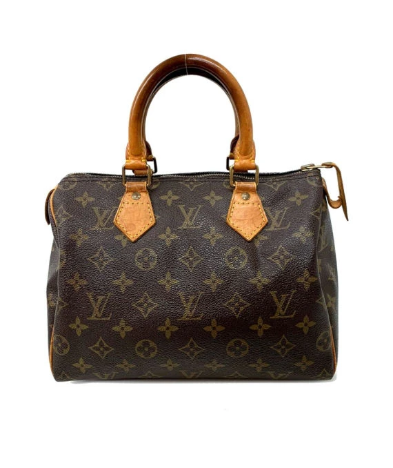 Louis Vuitton Monogram Canvas Speedy 25 Bag