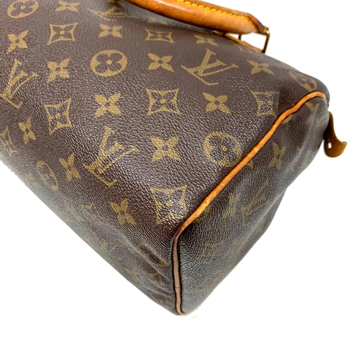 Louis Vuitton Monogram Canvas Speedy 25 Bag
