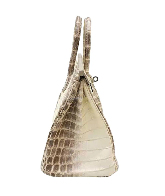 Hermes 2015 Birkin 25 Himalaya Handbag in Niloticus Crocodile Leather with Palladium Hardware