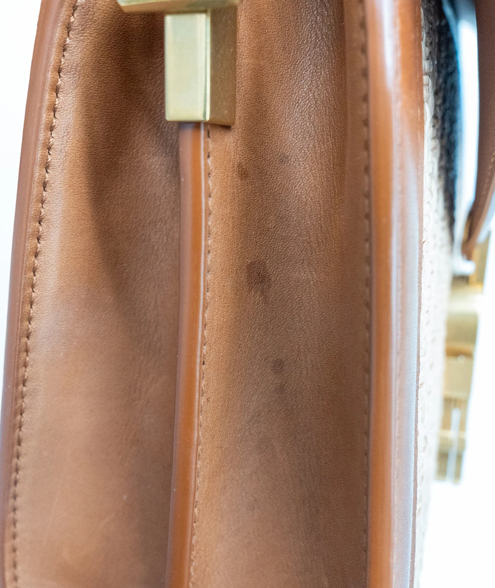 Saint Laurent Cassandra Mini Raffia + Vegetable-Tanned Leather Shoulder Bag in Natural Sand + Brick colors