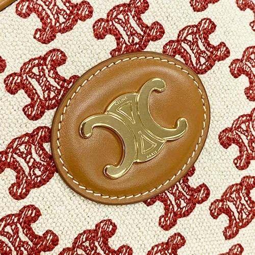 Celine Camera Bag in Triomphe Embroidery and Calfskin