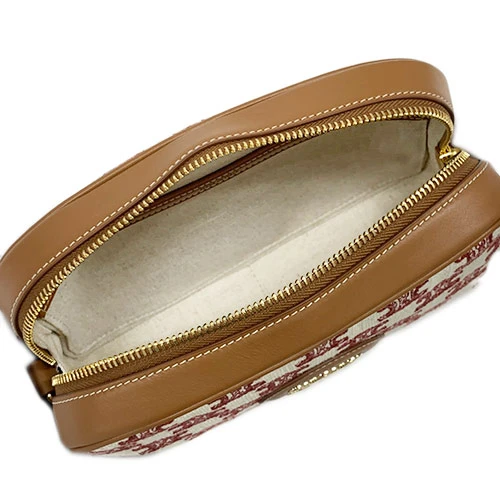 Celine Camera Bag in Triomphe Embroidery and Calfskin