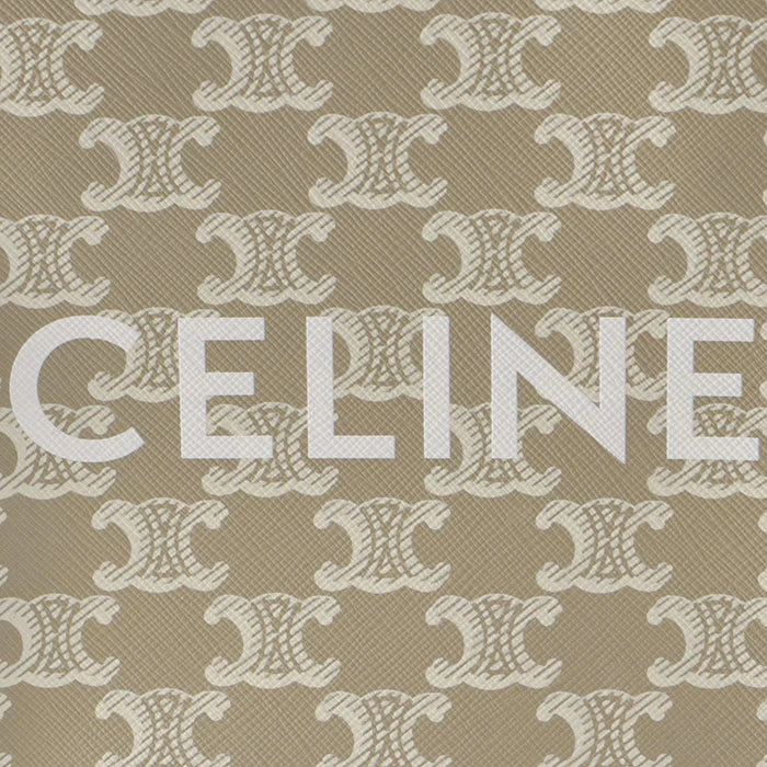 Celine Beige/Brown Triomphe Coated Canvas and Leather Mini Vertical Cabas Tote