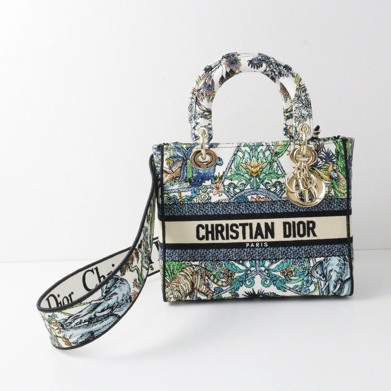 Christian Dior Multicolor Étoile de Voyage Embroidery Lady D-Lite Medium Bag