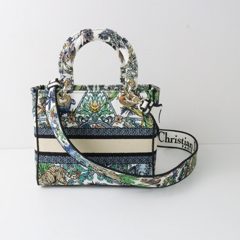 Christian Dior Multicolor Étoile de Voyage Embroidery Lady D-Lite Medium Bag