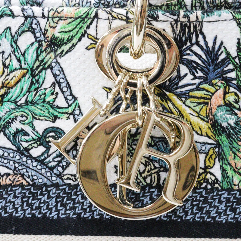 Christian Dior Multicolor Étoile de Voyage Embroidery Lady D-Lite Medium Bag