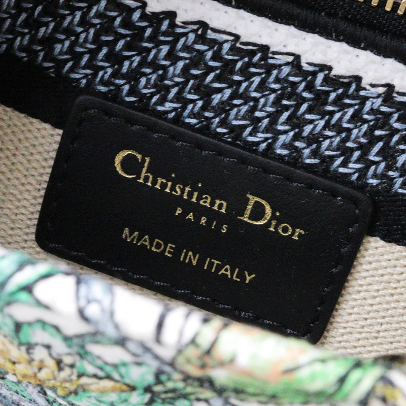 Christian Dior Multicolor Étoile de Voyage Embroidery Lady D-Lite Medium Bag