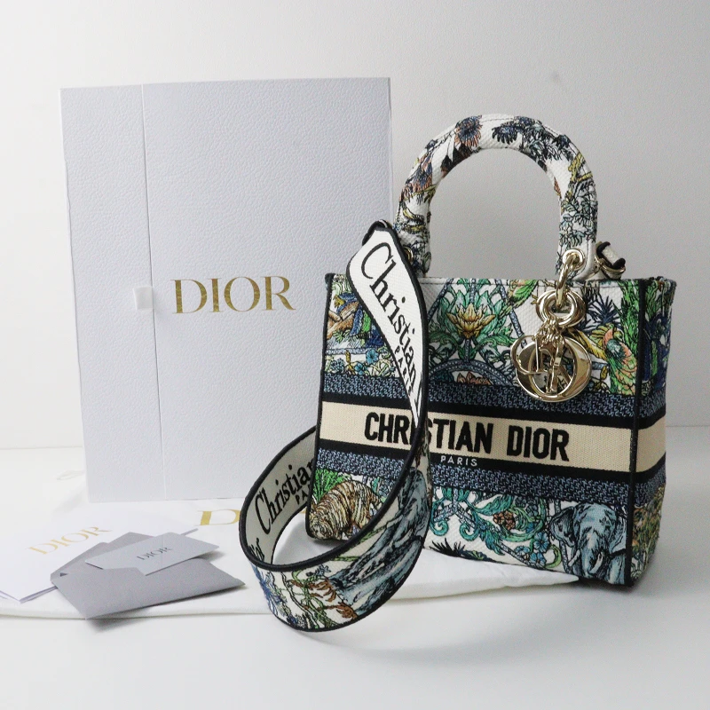 Christian Dior Multicolor Étoile de Voyage Embroidery Lady D-Lite Medium Bag